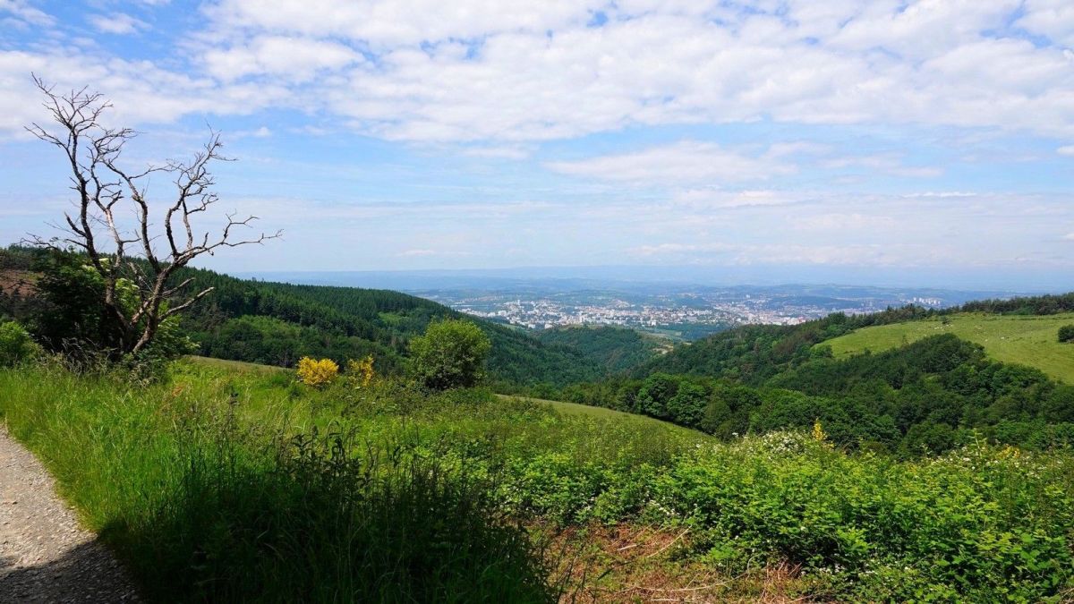 Belvédère sur Saint-Étienne