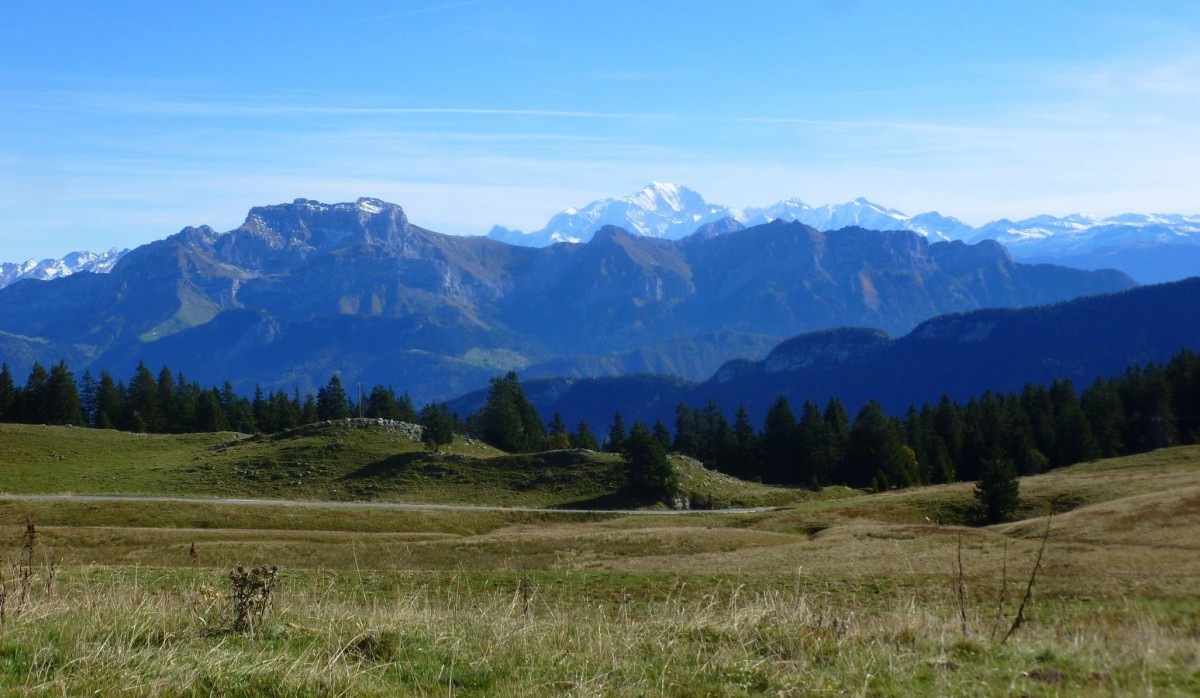 Le Mont Blanc, la Tournette vus de l'alpage