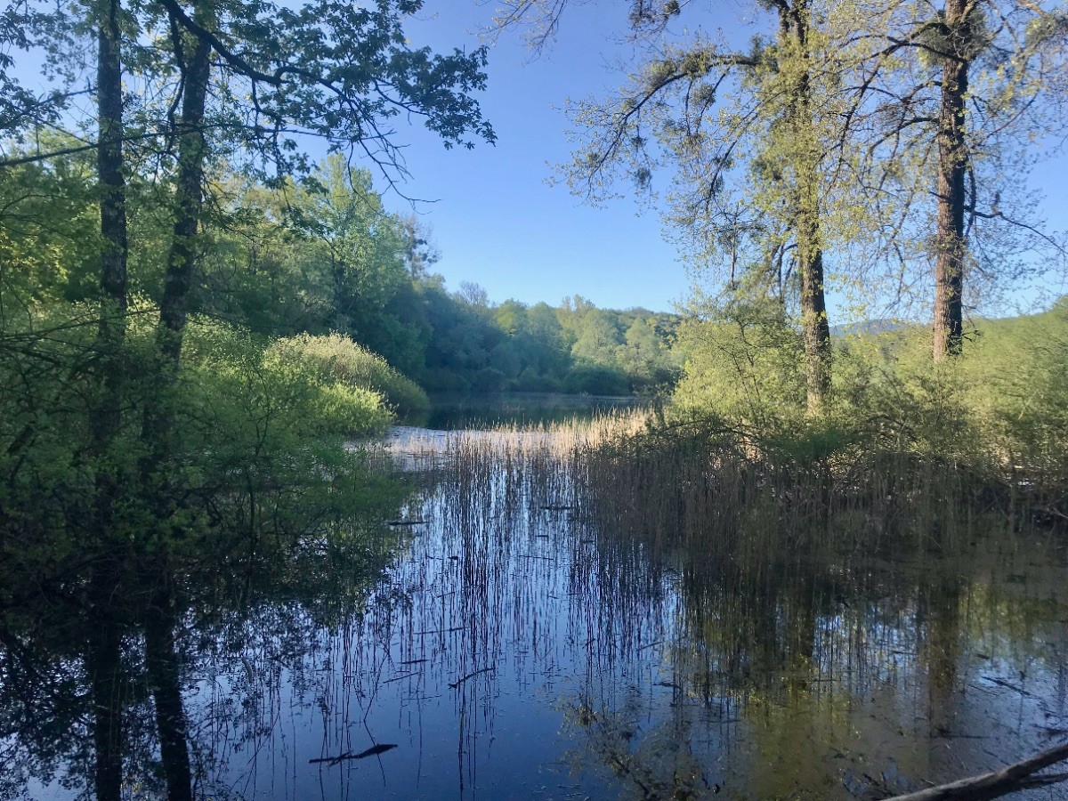 Marais immergé près d'Armaille