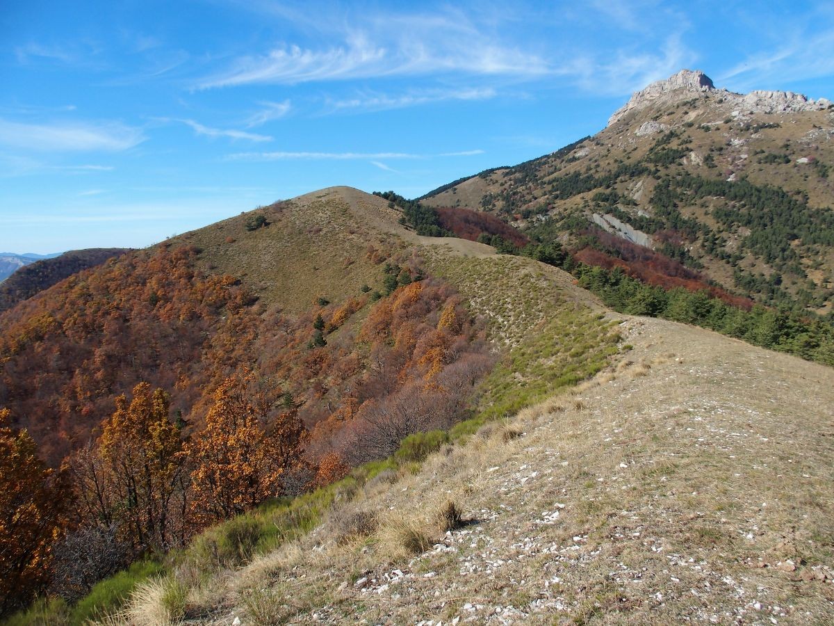 Sur la crête du Serre de la Chabanne, avec la Montagne d'Aujour en ligne de mire