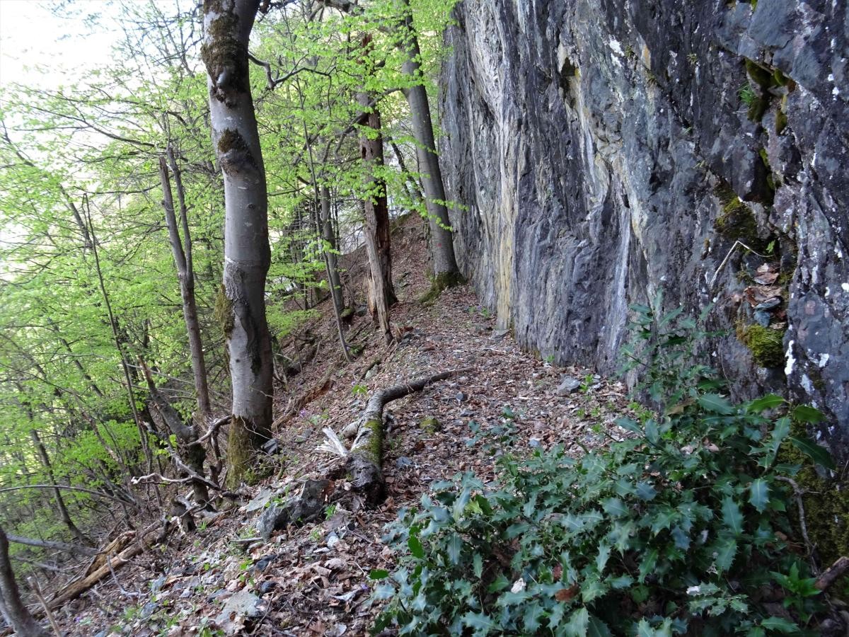 Voici l'un des endroits emblématiques de ce sentier : au pied d'une falaise, dans une forêt, avec un versant déja raide