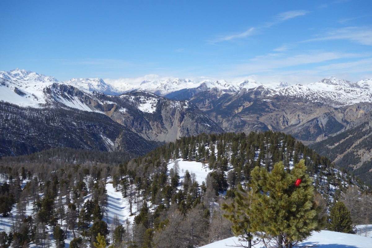  Panorama sur les Écrins et les Cerces de la Bosse de Péméant