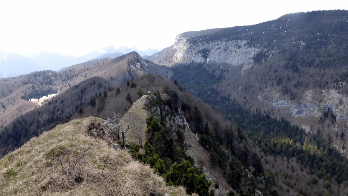 Pointe de la Lentille ou Mont Pellaz (1443m) un sommet pour deux