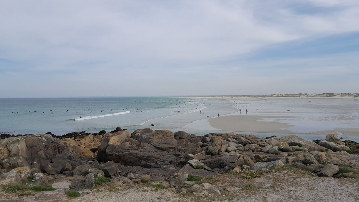 Surfer Paradise Breizh