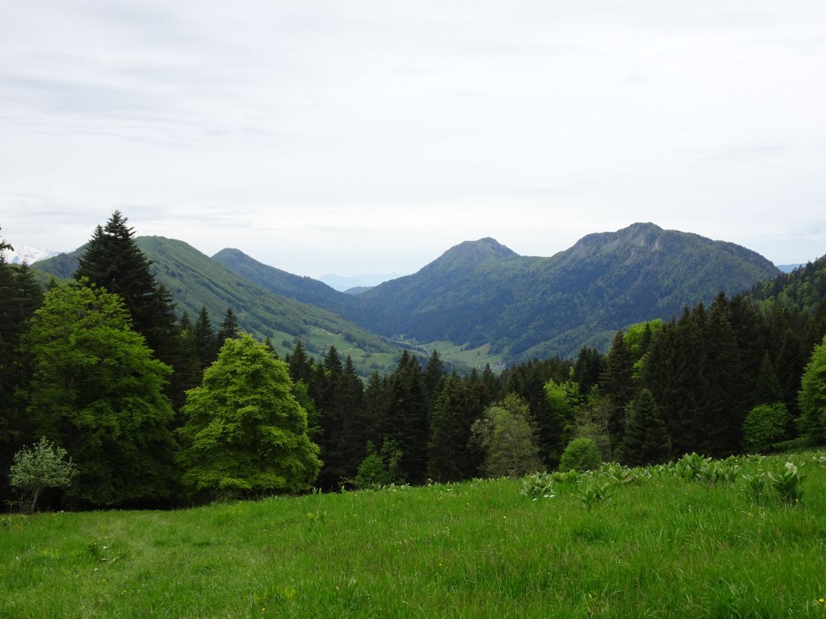 Vallée du Lindar vue du chalet du Muret