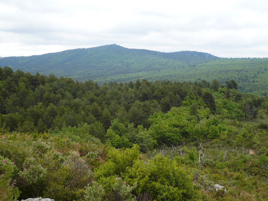 Le Regagnas vu depuis les collines à l'ouest de Kirbon.