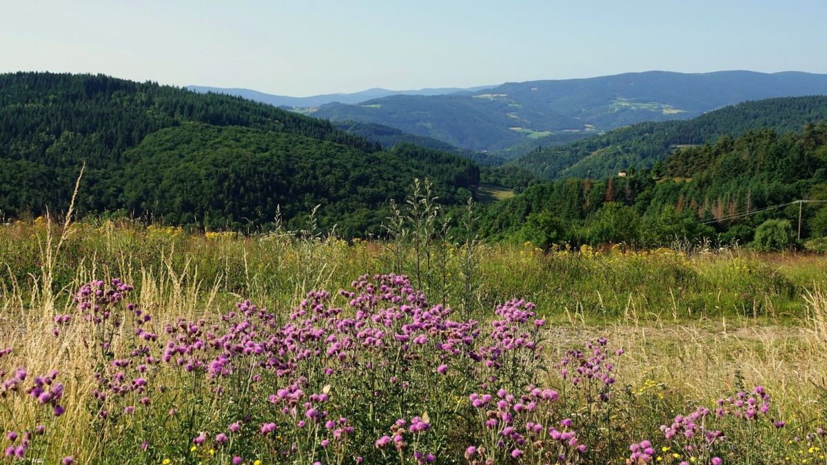 De Graix, le val du Riotet, affluent de la Déôme