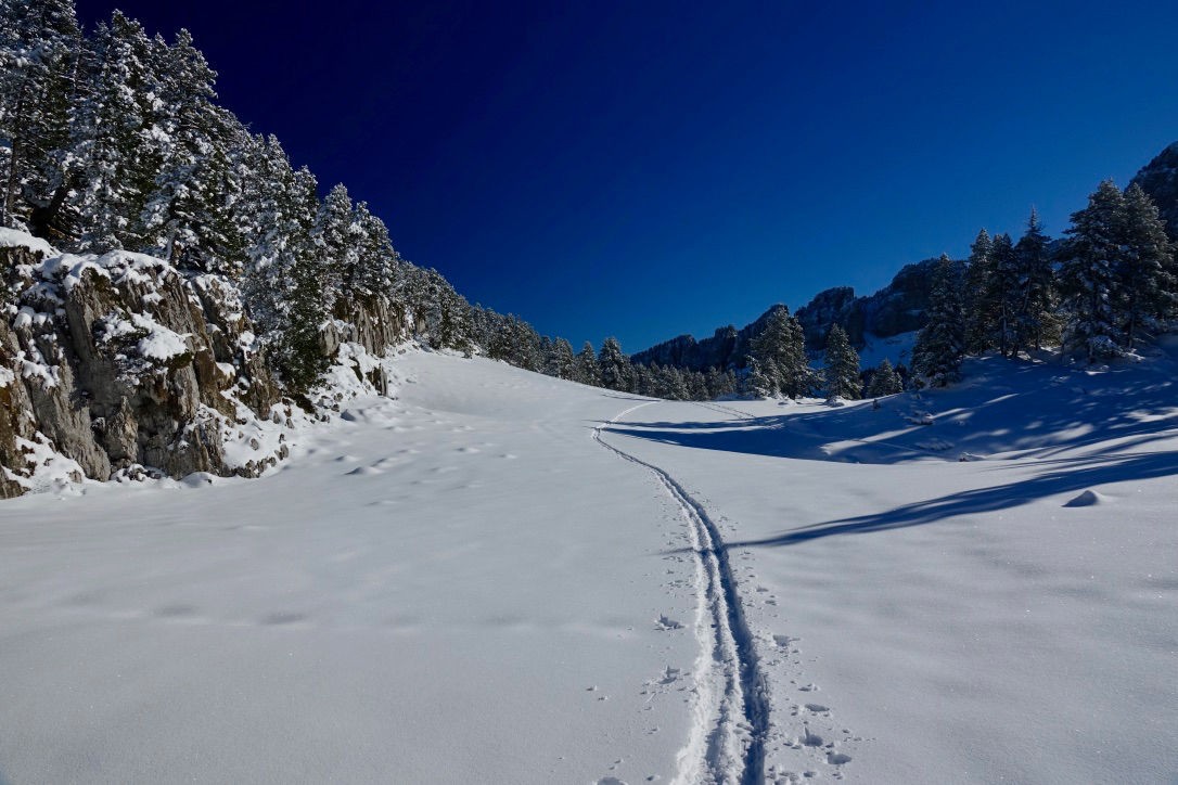 Les Arres de Camplong