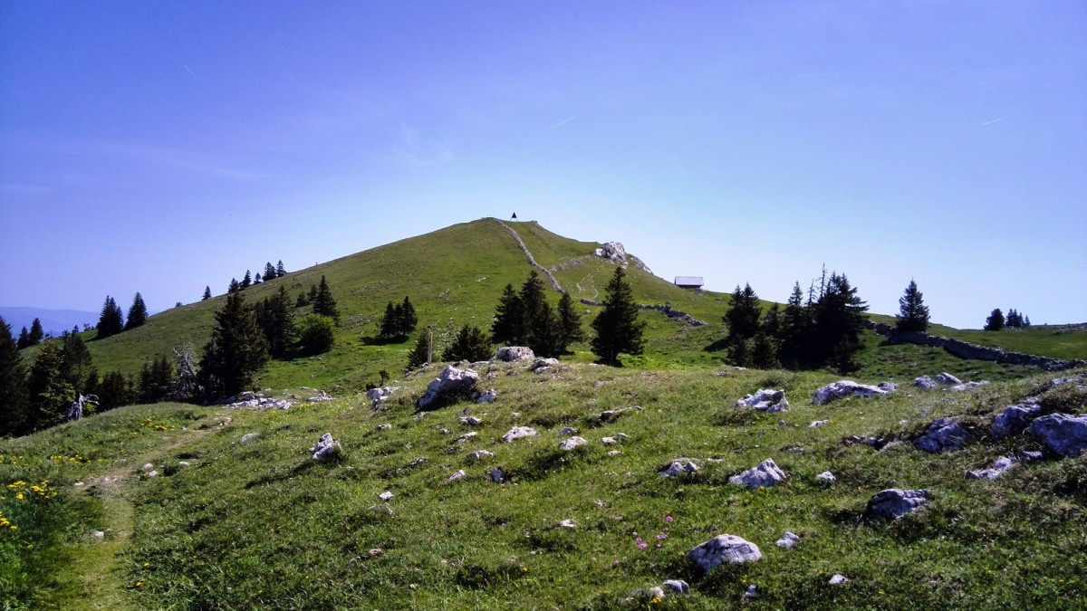 Point culminant du Jura Suisse, le Mont Tendre porte bien son nom.