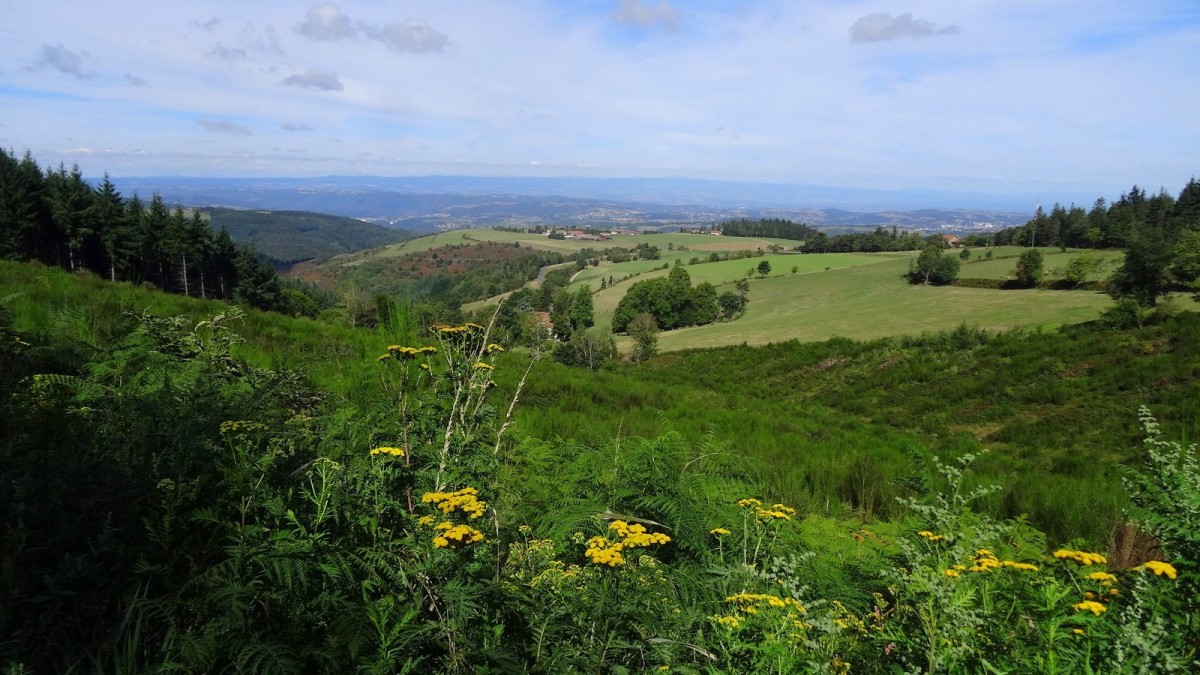 Des environs du hameau de la Palle, vue sur la vallée du Cotatay et les monts du Forez.