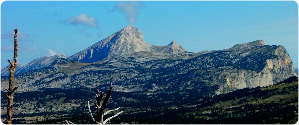 De la Tête du Petit Jardin, regard sur le Grand Veymont et l'échancrure du Pas de l'Aiguille.