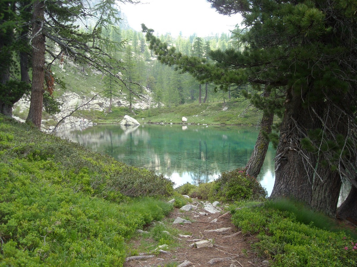Un petit lac émeraude au beau milieu des arbres, voilà ce qui vous attend !