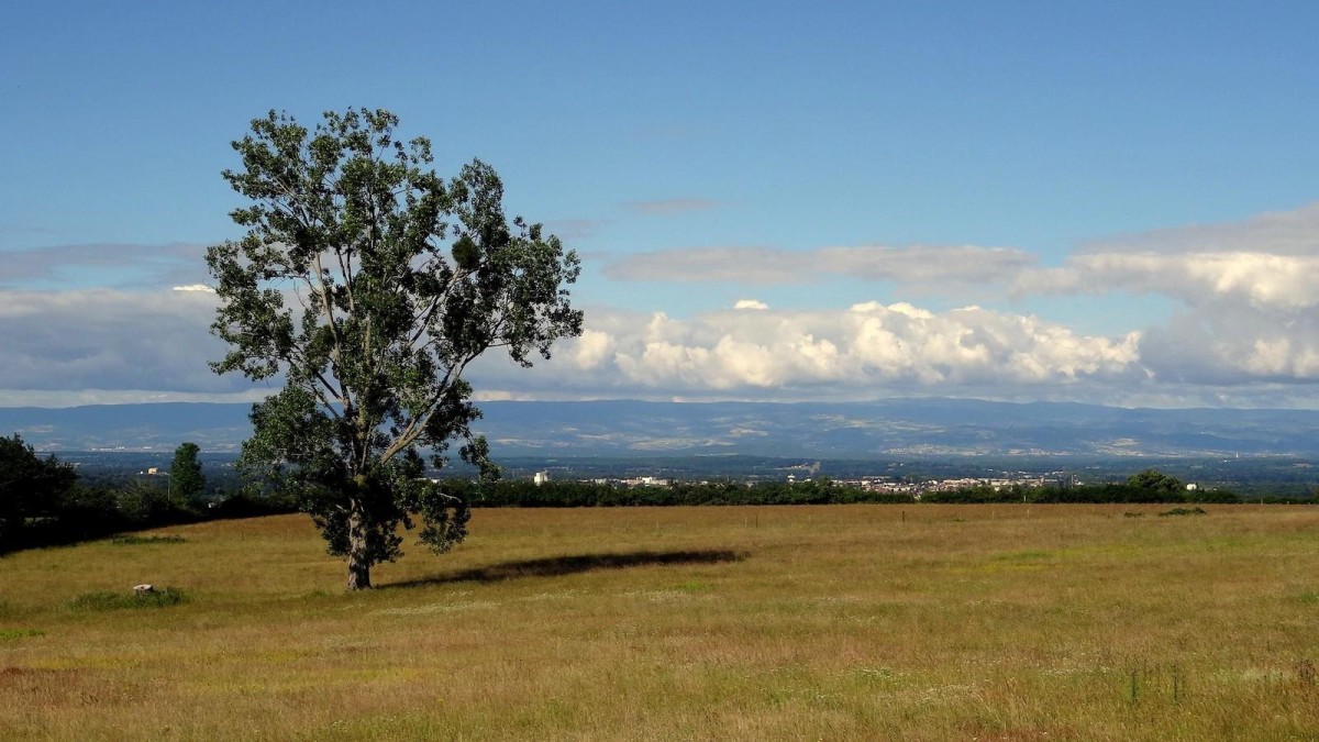 De Savizinet, vue sur la plaine et les monts du Forez.