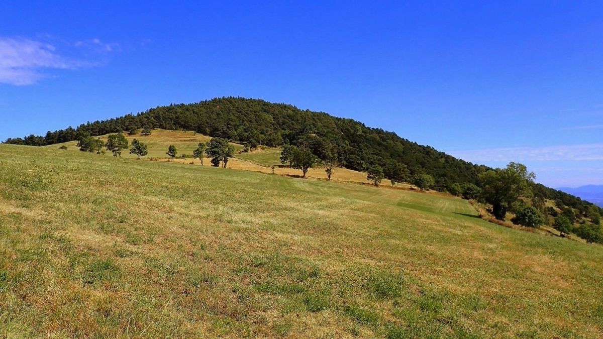 Le mont Semiol est le plus vaste pic de basalte des monts du Forez