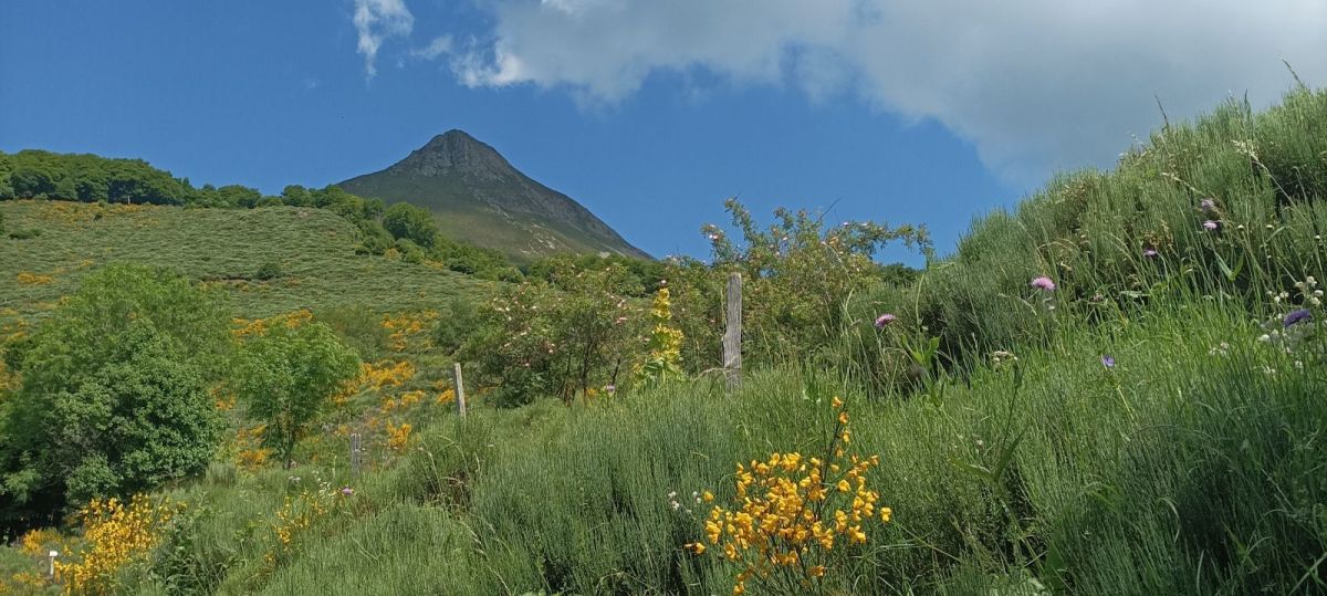 Le Puy Griou