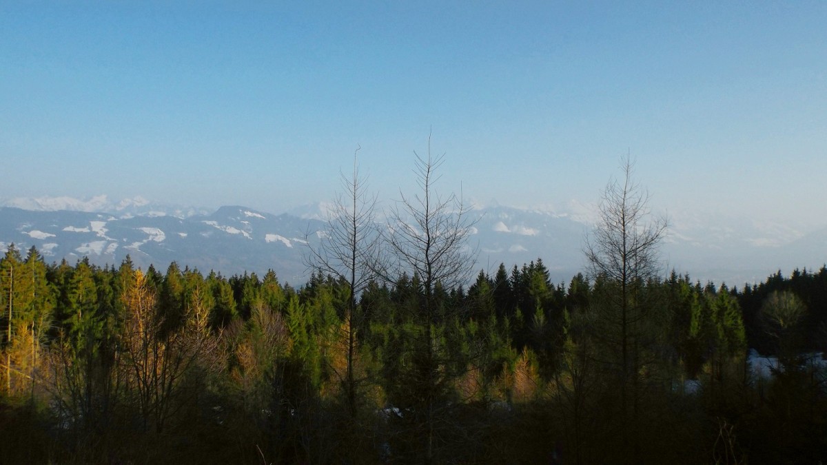 Les Préalpes vues de la crête forestière du Mont Gibloux.