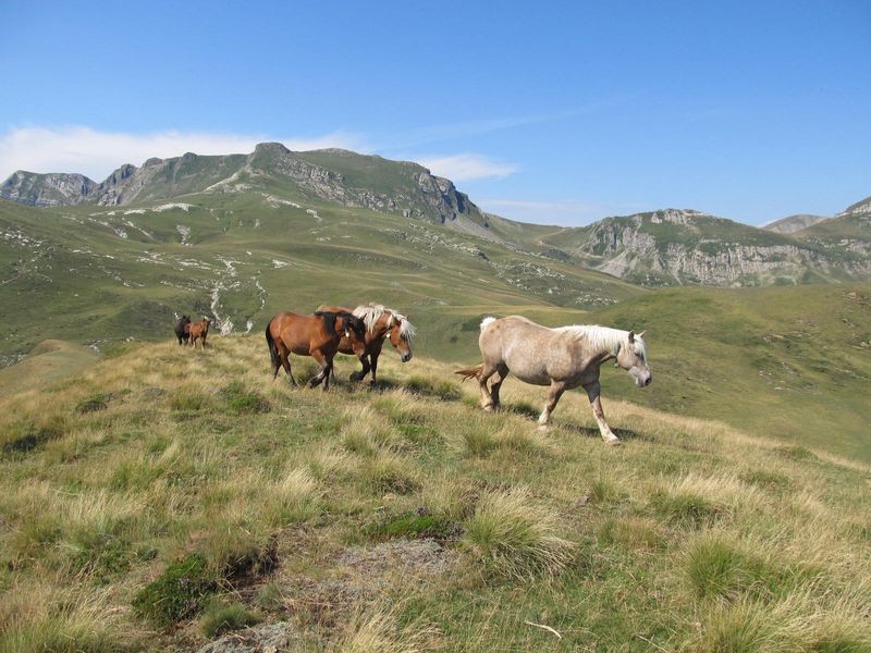 Sur la crête du Sarimendi