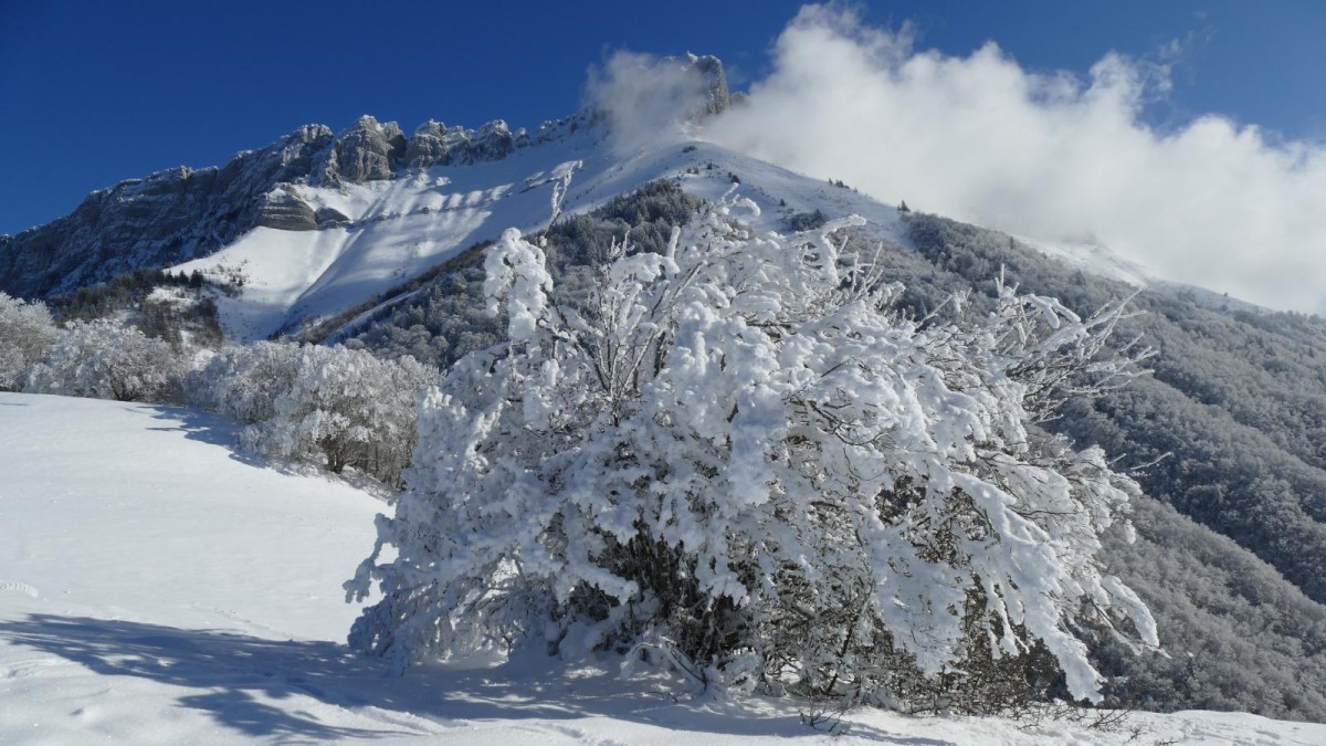 Vue vers la belle Dent d'Arclusaz.