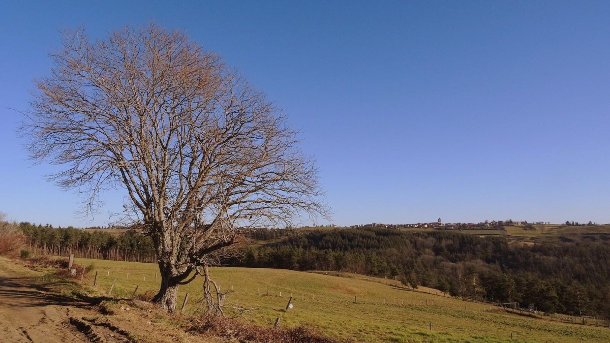 Sur le plateau, après la Valmitte, vue sur Rozier.