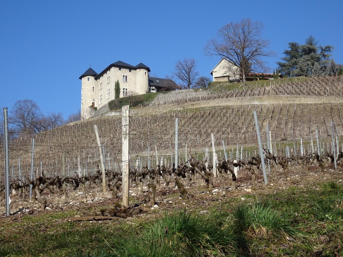 Château de Monterminod