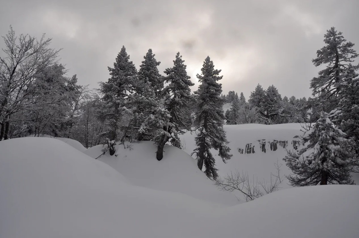 Les Arres de Camplong