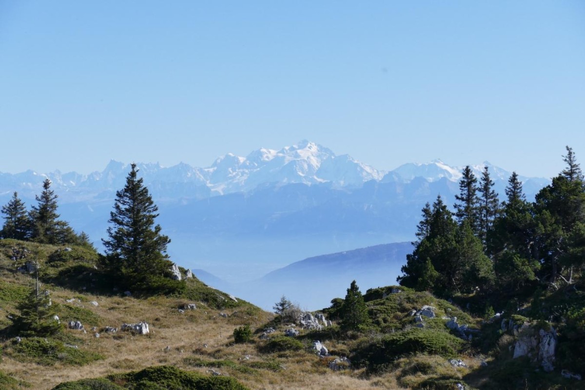 Petit aperçu de la vue...