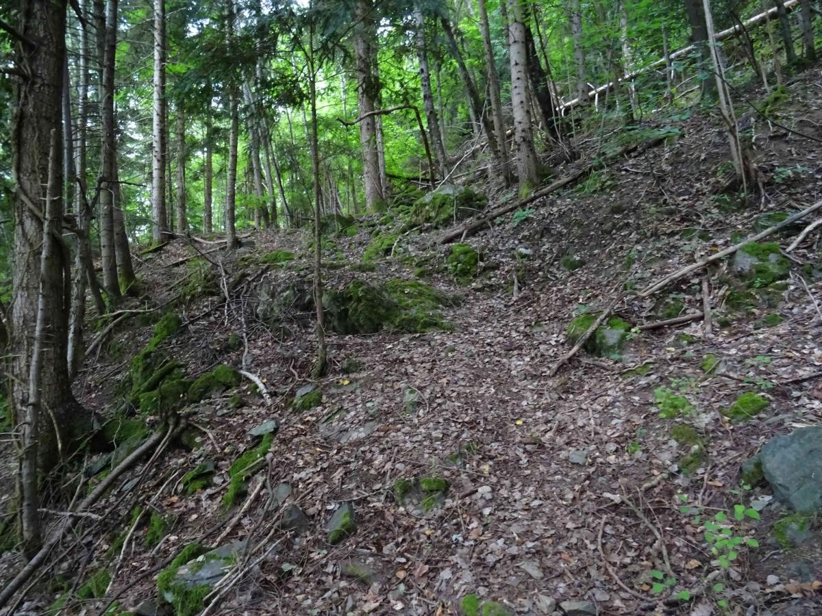 Le sentier est ici bien dégagé des branches qui l'encombraient auparavant