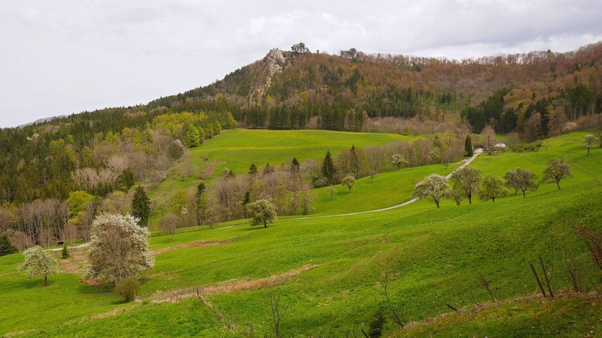 Belvédère de Böllat vu du hameau Wannental.
