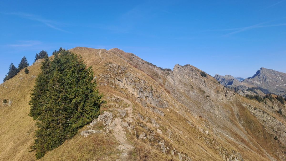 Pointe de la Couennasse vue du petit col au fond de la combe de Gron.