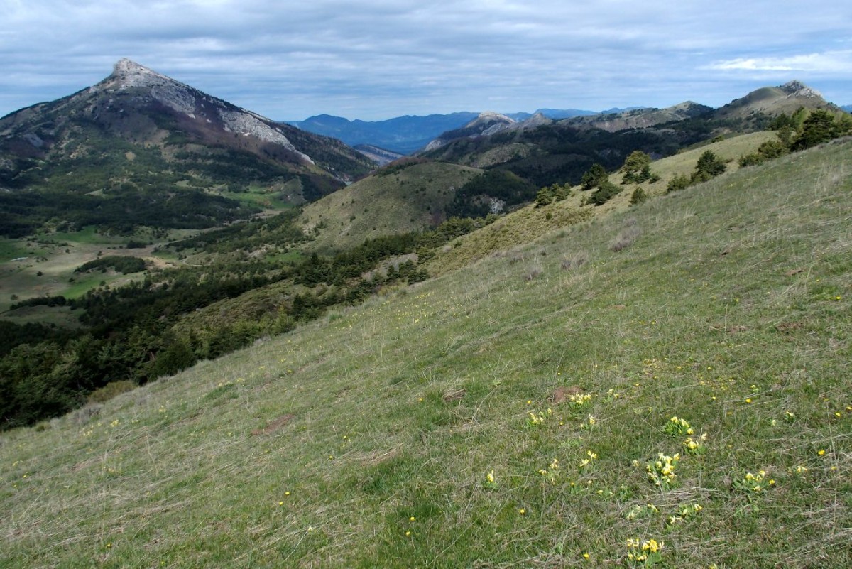 Au sommet de la Montagne de Peyssier