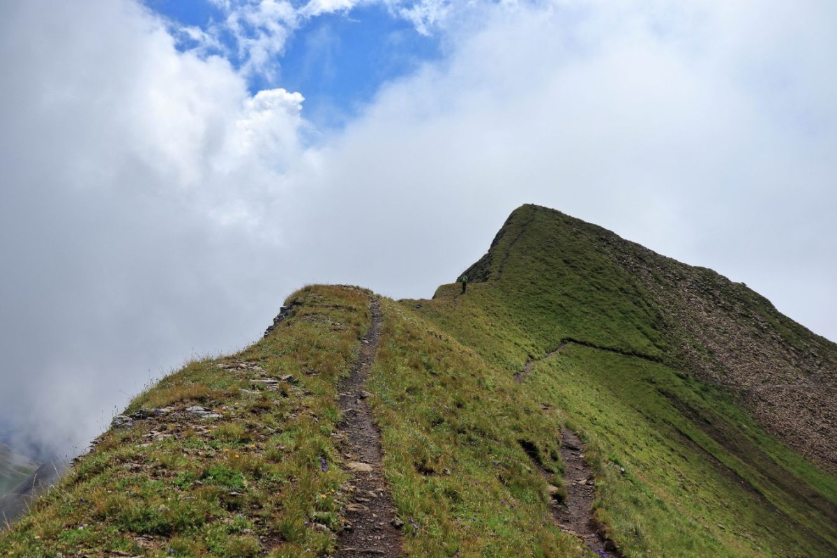 Sur le fil de la crête