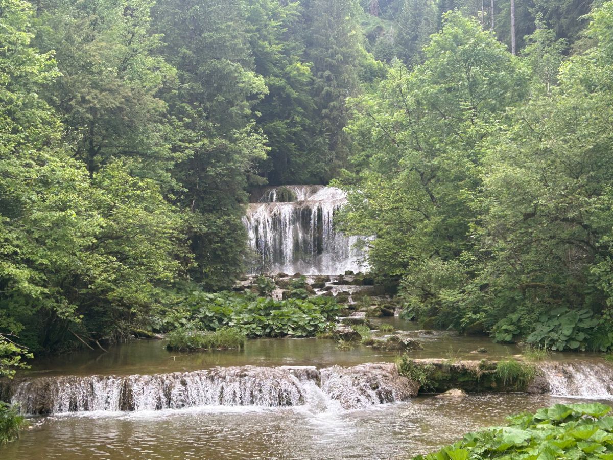 Cascade de la Serpentine, cernée par la végétation