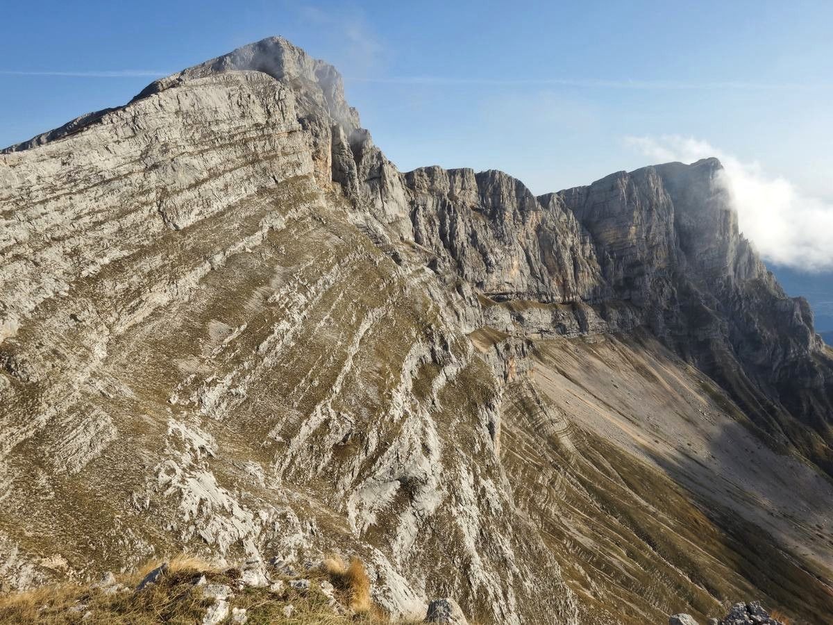 La Grande Moucherolle transpercée