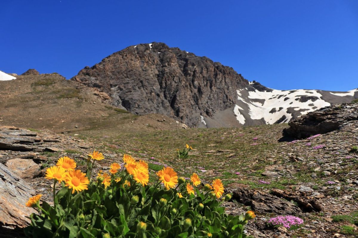 Signal de l'Iseran