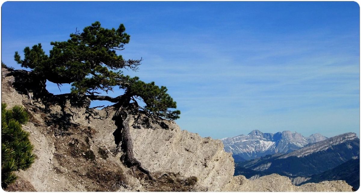 De la crête, regard sur le Goutaroux, la Montagne de Gresse, et la Grande Moucherolle entre autres.