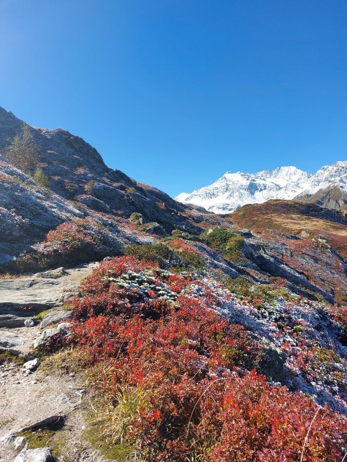 UN BALCON FACE AUX GLACIERS DE LA VANOISE