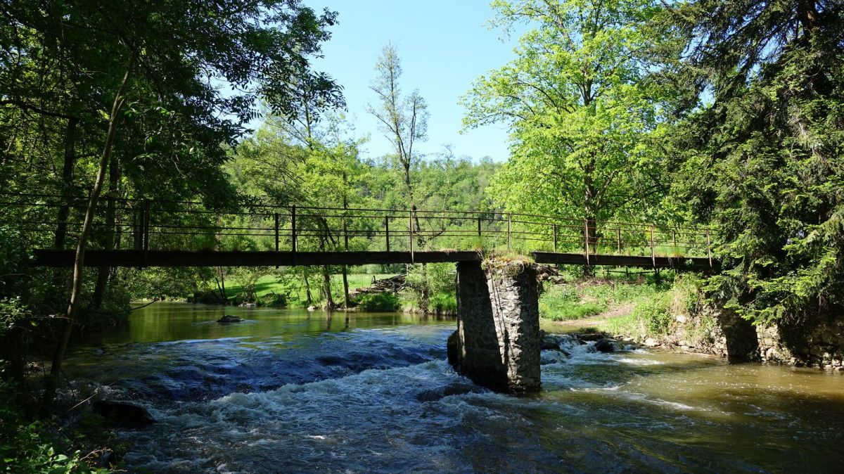 La Coise au Moulin Feuillet.