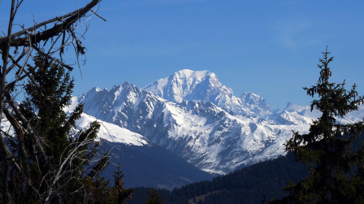 Sommet du Dou de la Motte, vue sur le Roignais et Mont Blanc