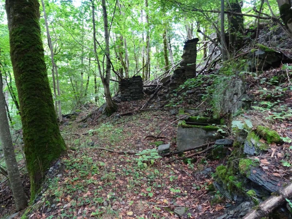 Ruines de Malaine