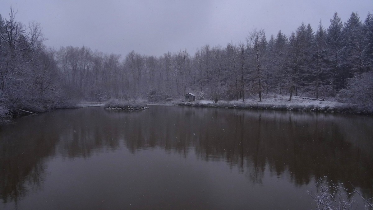 L’Étang Picard sous la neige.