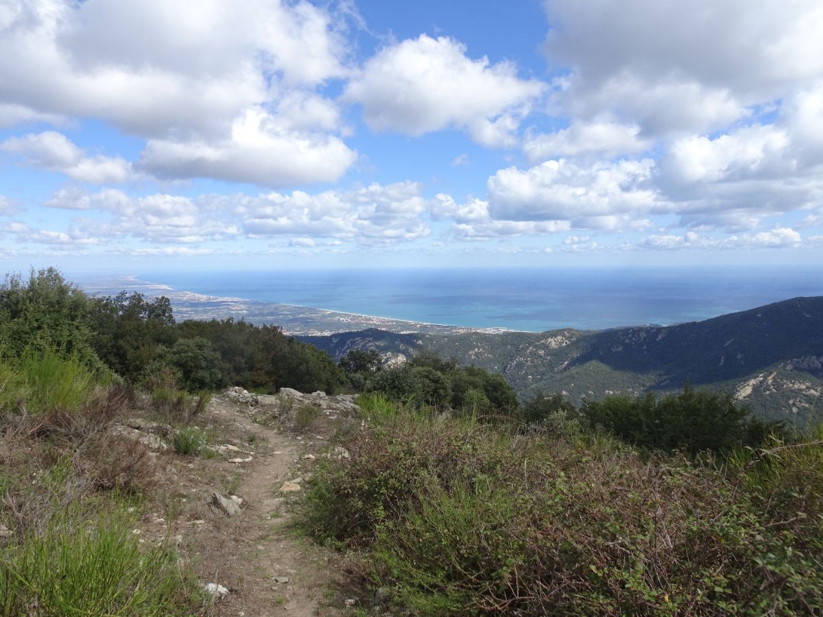 Coll de l'Aranyo