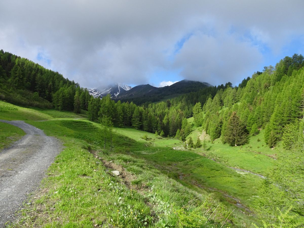 Vallon du Ruisseau des Frasses