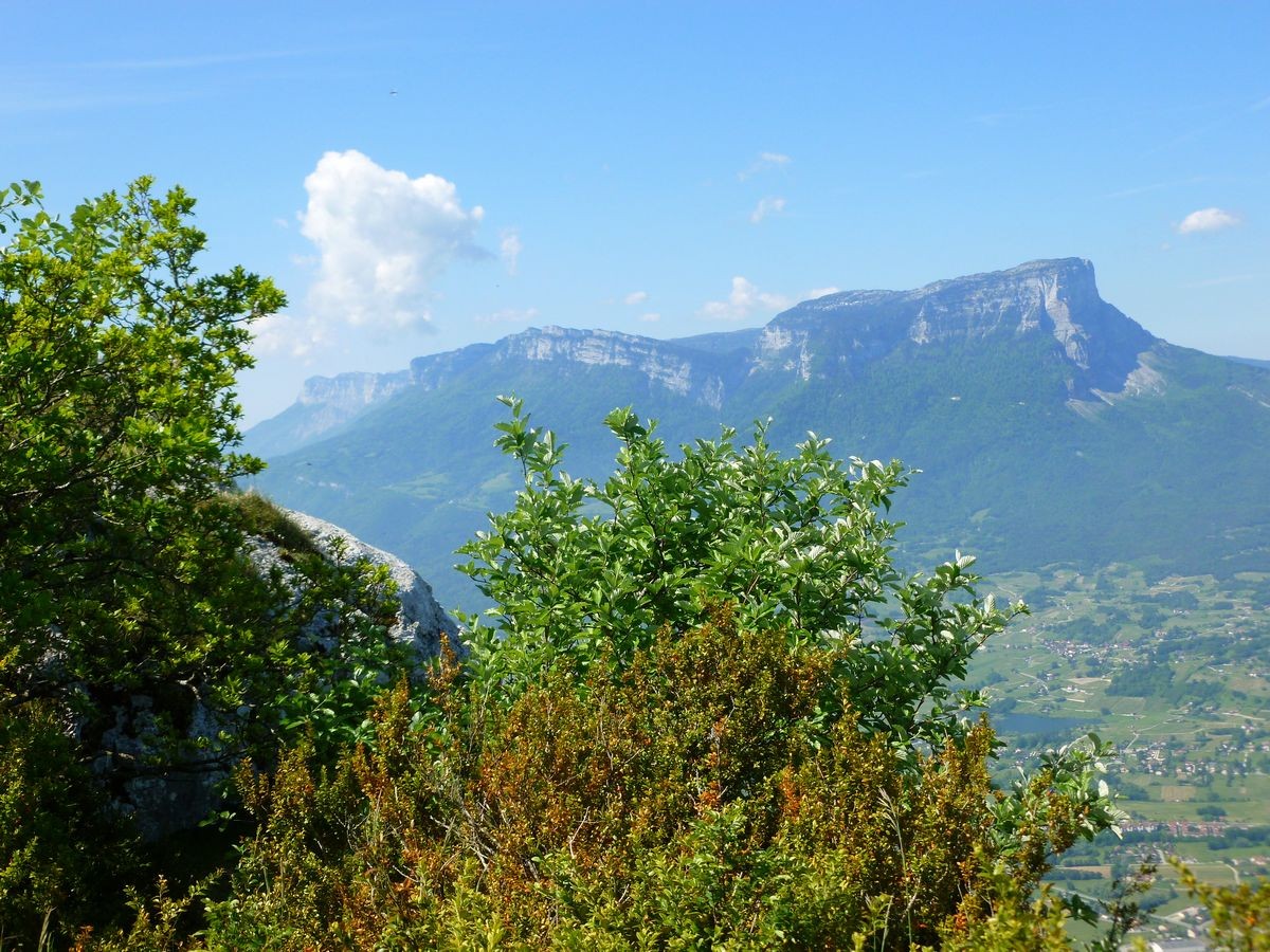 La Chartreuse vue du sommet