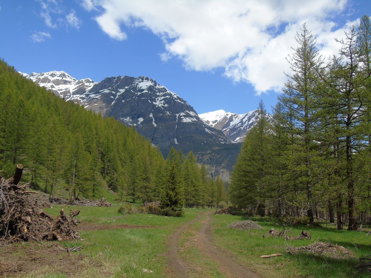 Le mur de la Vanoise depuis la vallée d'Avérole