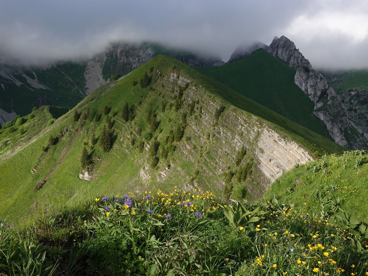 Une montagne totalement verte, entre soleil et nuées...