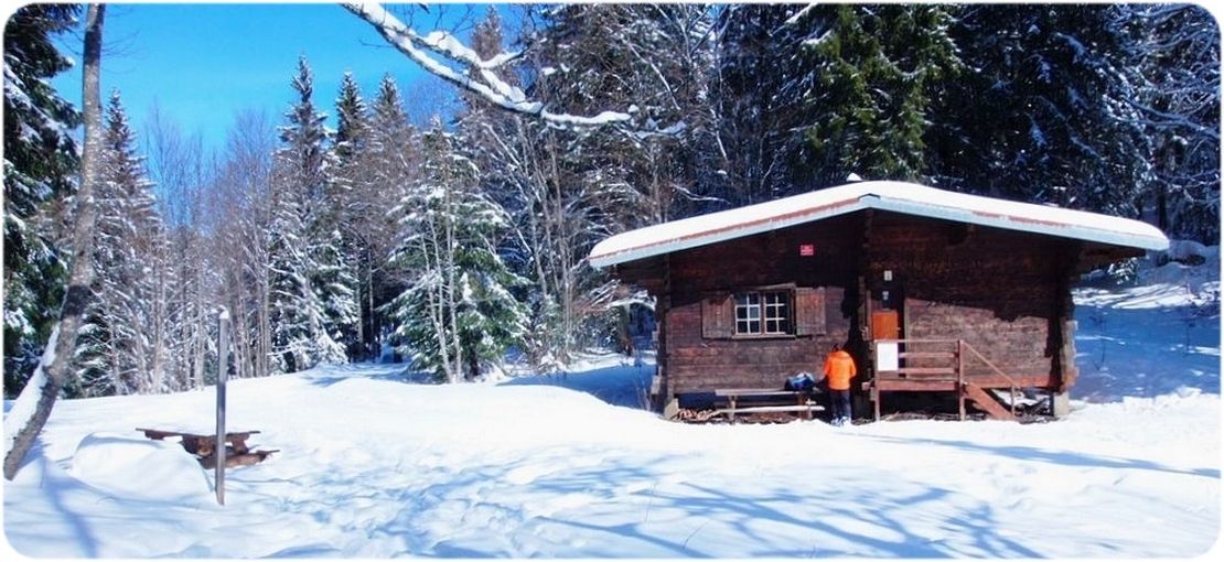 Le Refuge du Serre du Sâtre dans la Forêt Domaniale des Coulmes.