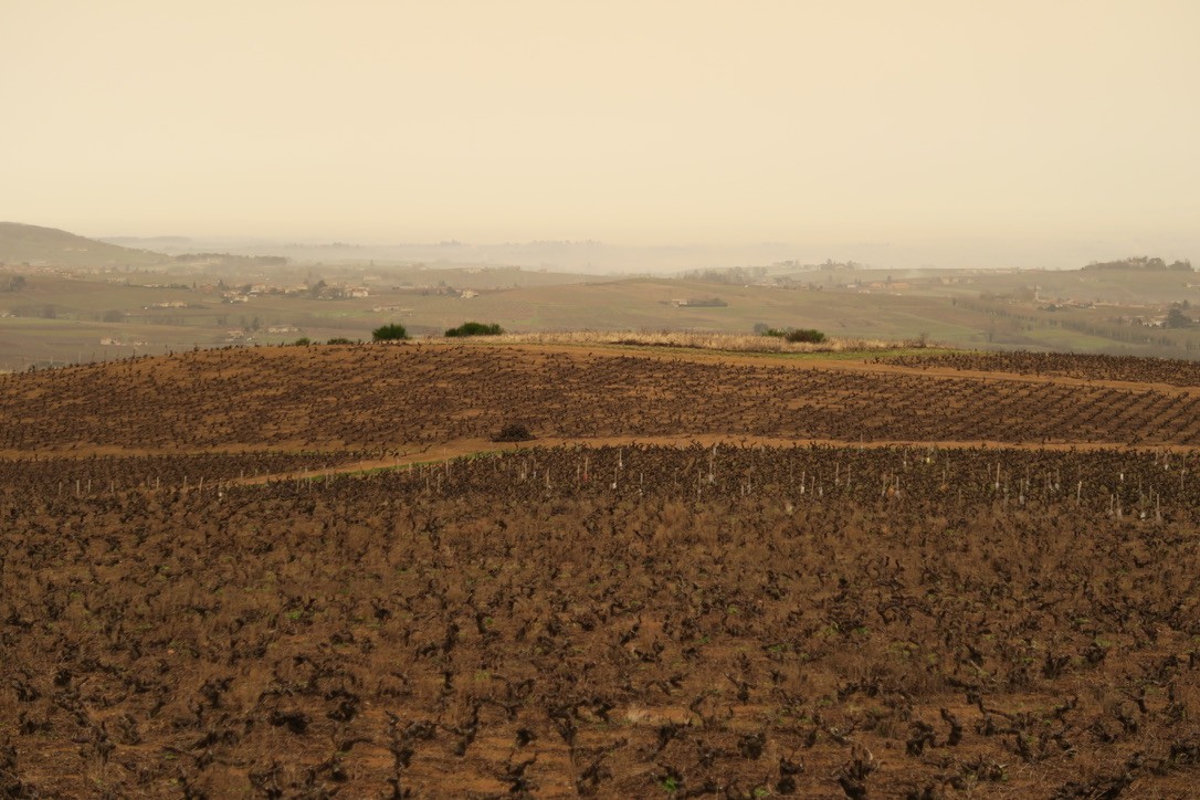 Du "Mérin"...ciel ocre et brume dans la vallée de la Saône