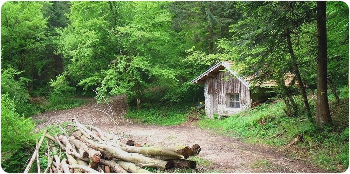 Cabane de chasseurs à l'orée du bois.