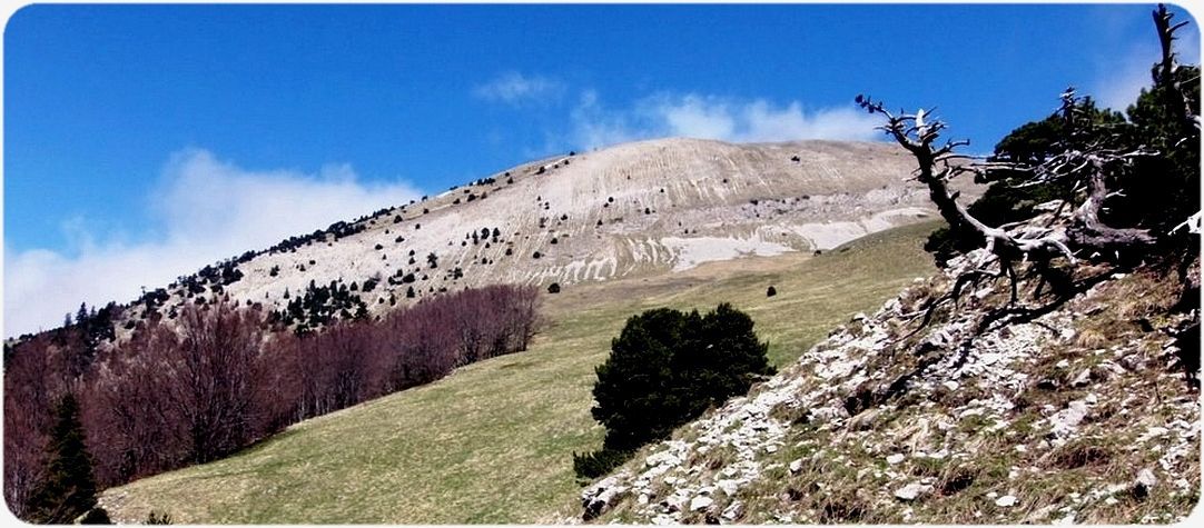 Regard sur le Mont Barral face sud-ouest.