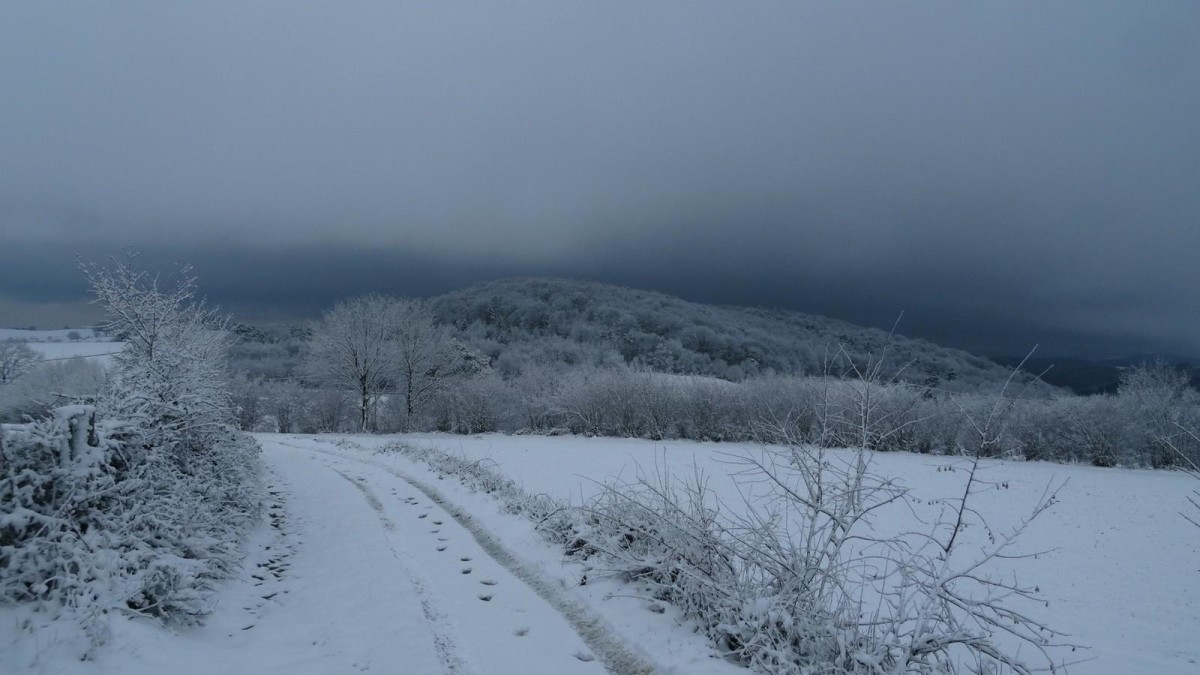 Le crêt Reynaud (919m).